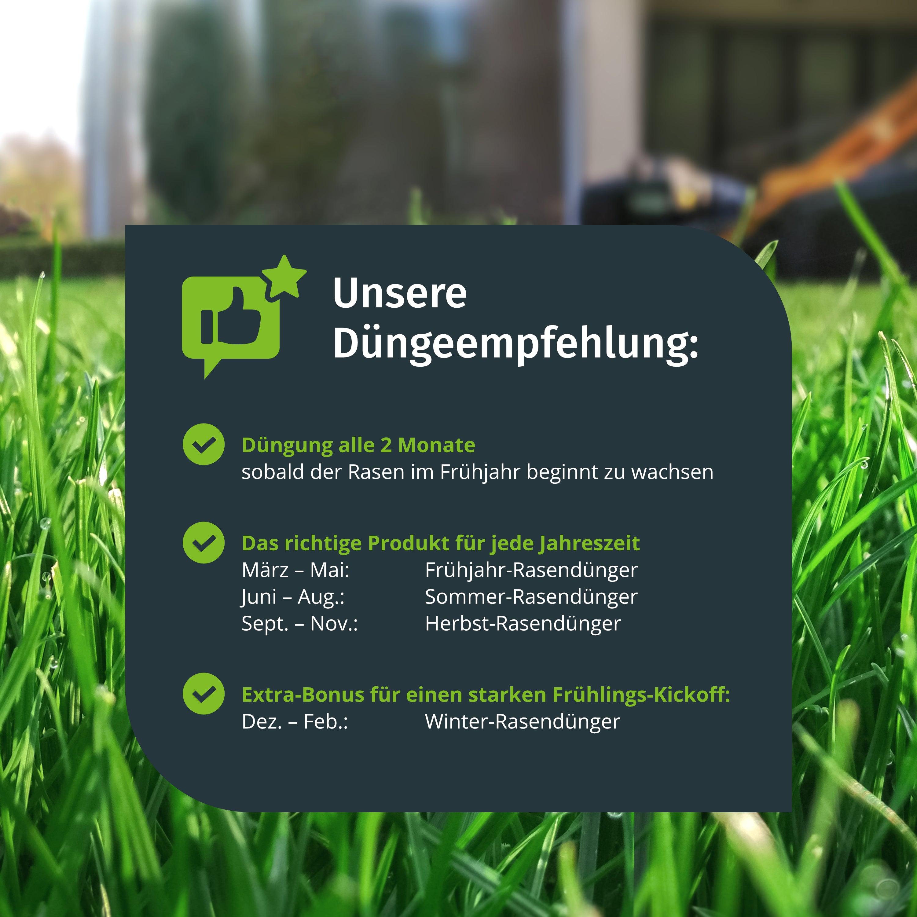 Infografik Düngeempfehlung mit Zeitplan für Frühjahr-, Sommer-, Herbst- und Winter-Rasendünger vor Rasenhintergrund