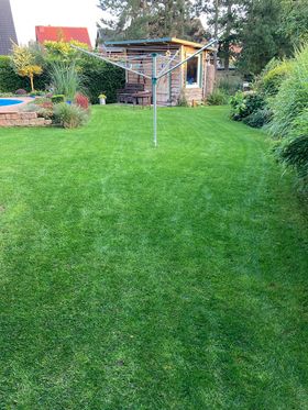 Dichter grüner Rasen im Garten mit Wäschespinne, Gartenhaus und Pool im Hintergrund