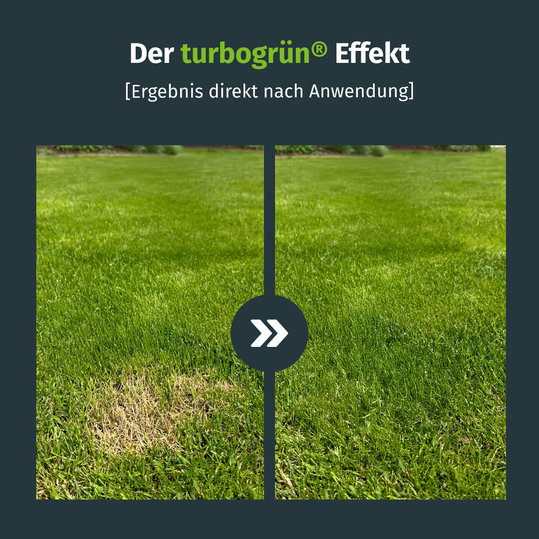 Rasenfarbe